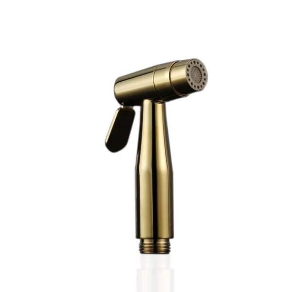 BSP 440G SWISH Push Shower