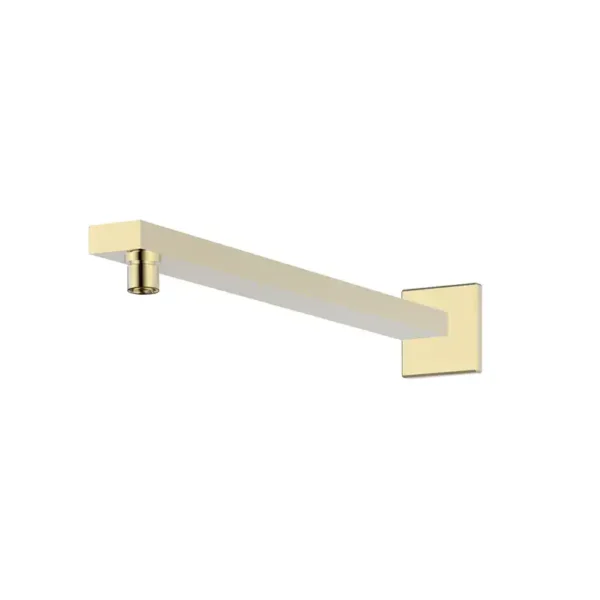 SA 0156113-31 SWISH Shower Arm